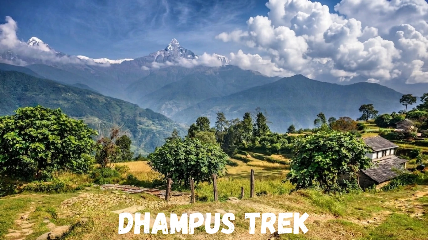Dhampus Trek